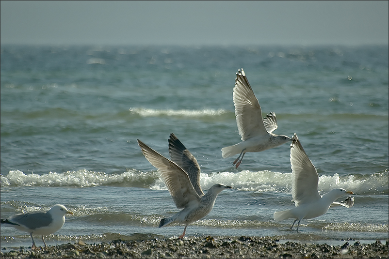 Nur fliegen...