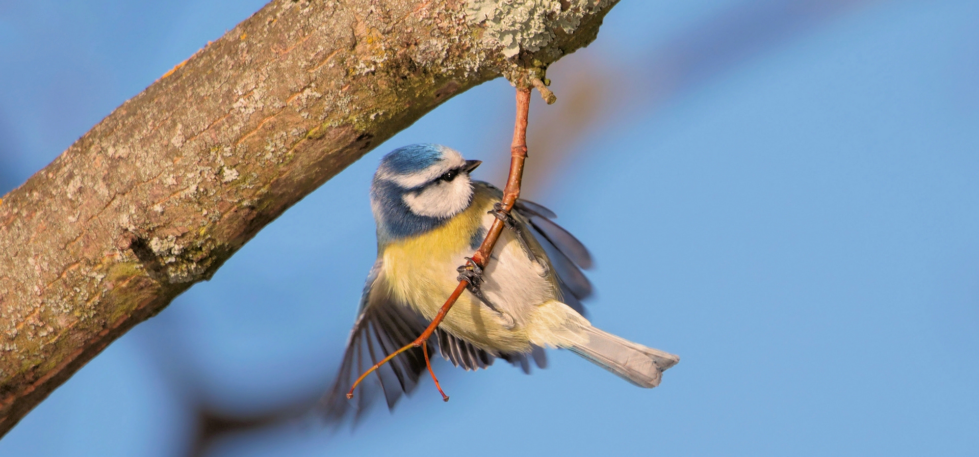 NUR FLIEGEN IST NOCH SCHÖNER