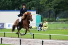 Nur fliegen ist schöner ... ! von Gaedingar 