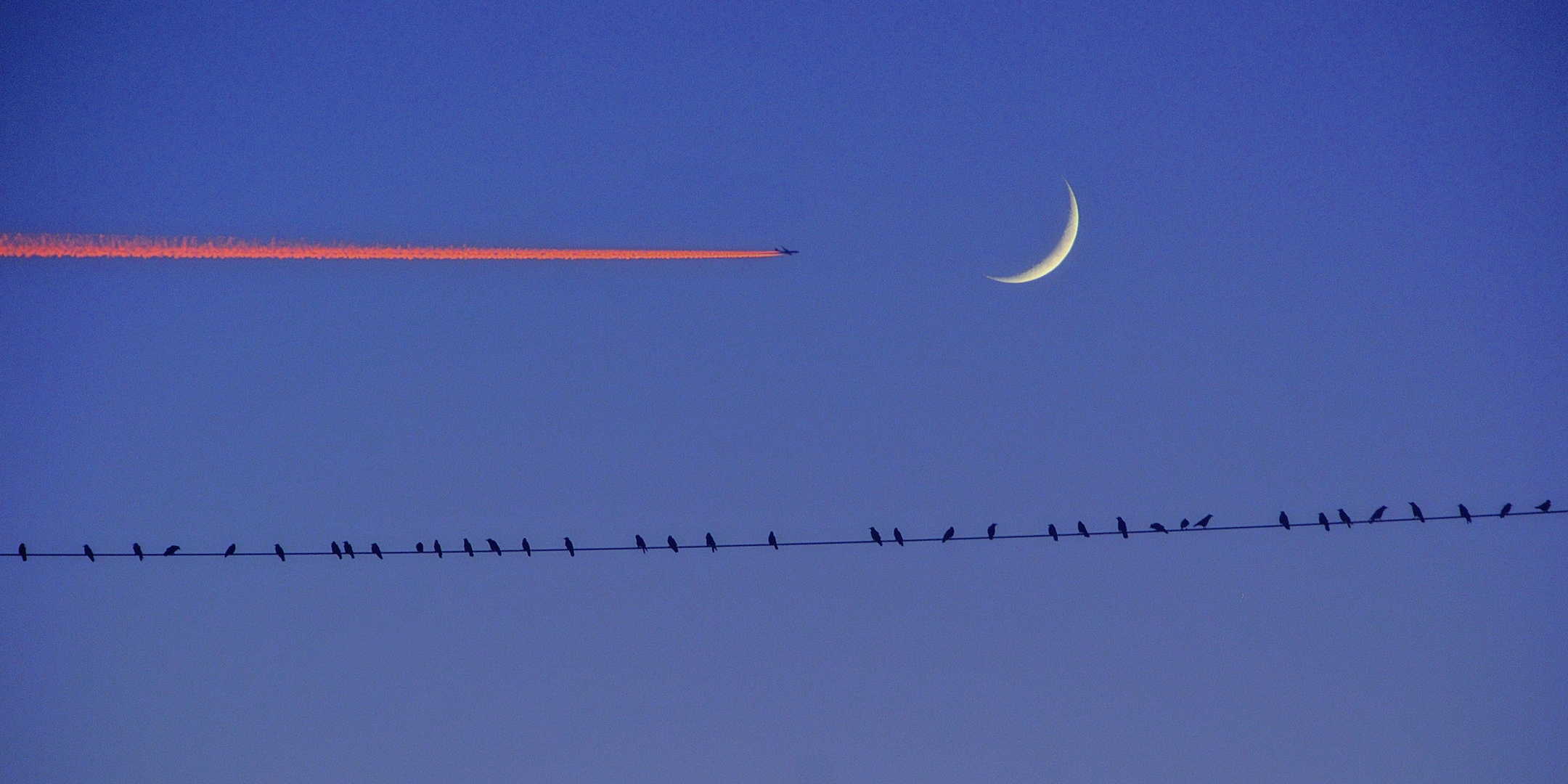 Nur fliegen ist schöner.