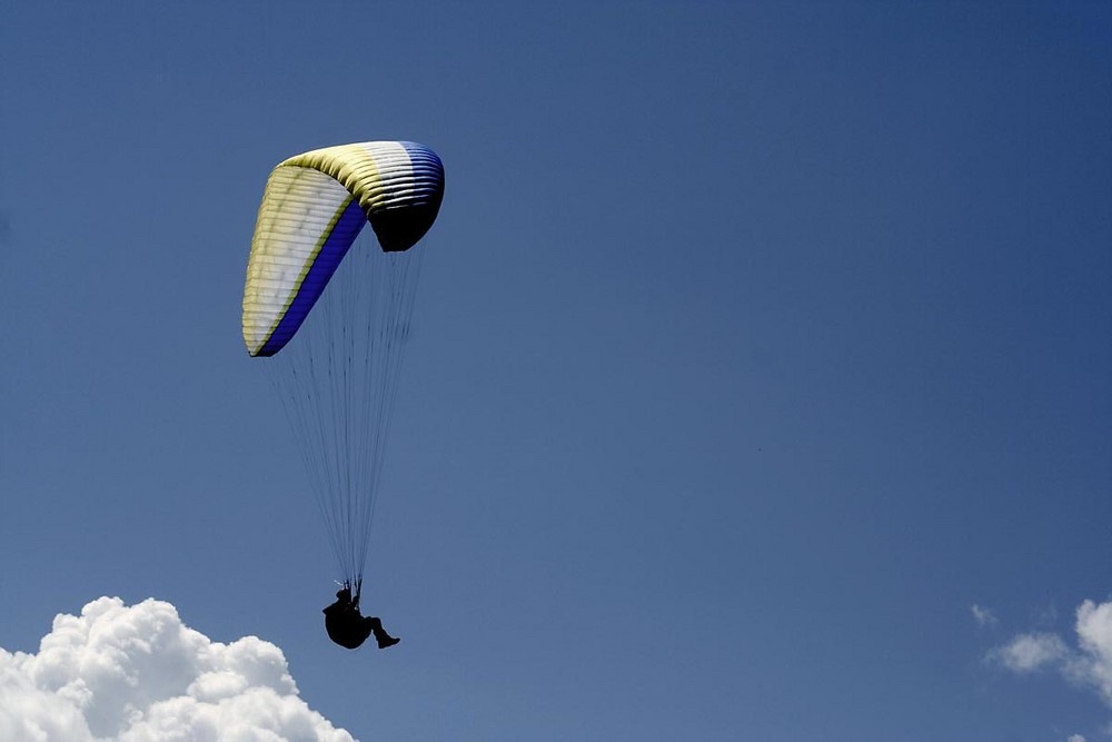 "nur fliegen ist schöner"