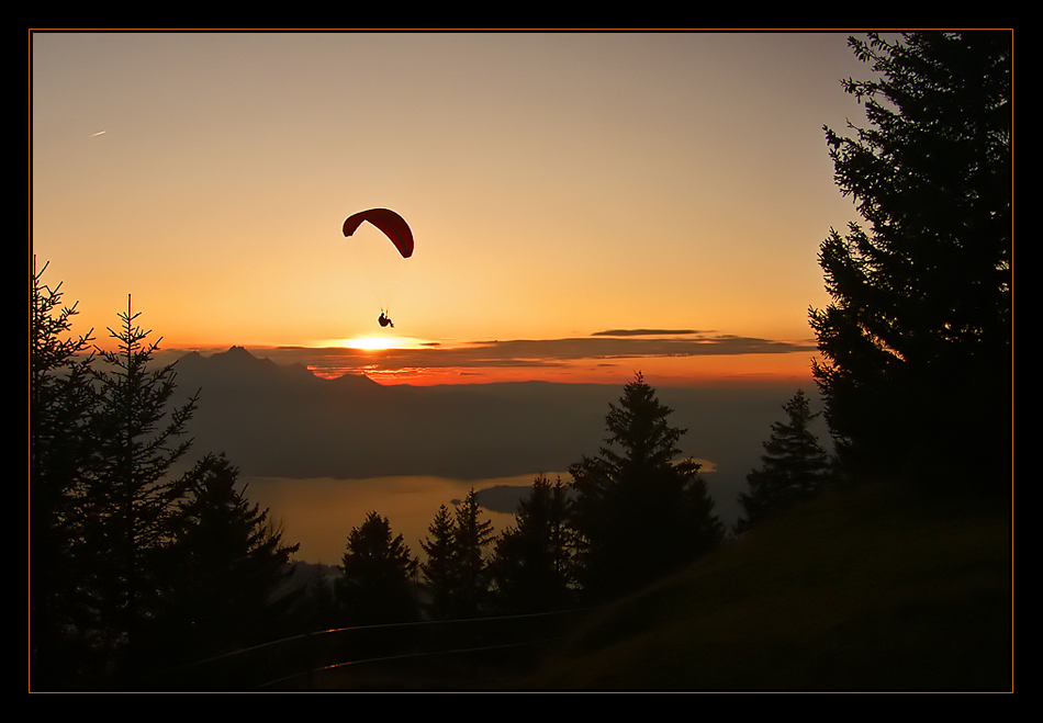 nur Fliegen ist schöner