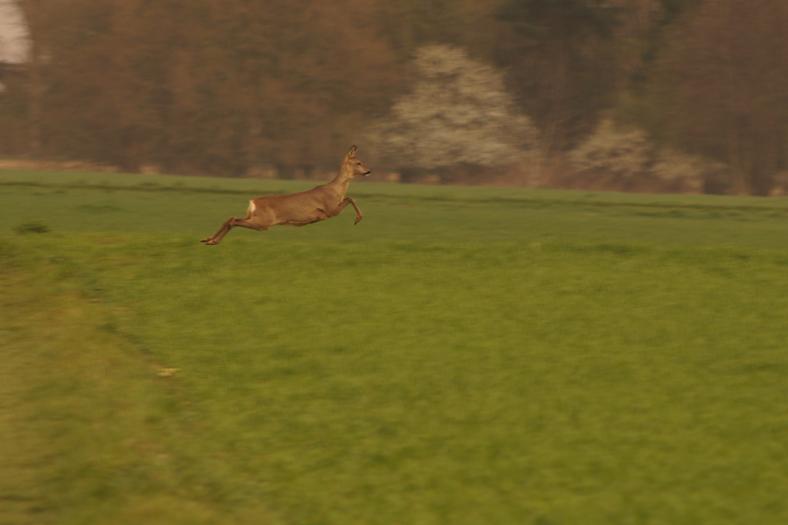 Nur fliegen ist schöner