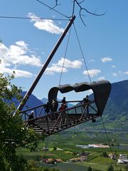 ... nur Fliegen ist schöner !