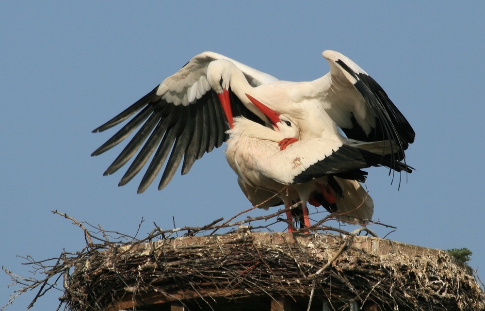 Nur Fliegen ist schöner....;-)