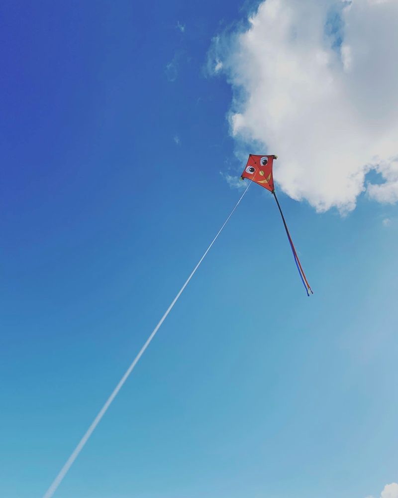 Nur fliegen ist schöner Foto & Bild natur Bilder auf