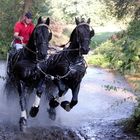 Nur Fliegen ist schöner!