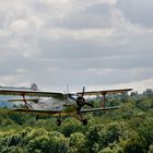 nur Fliegen ist schöner!