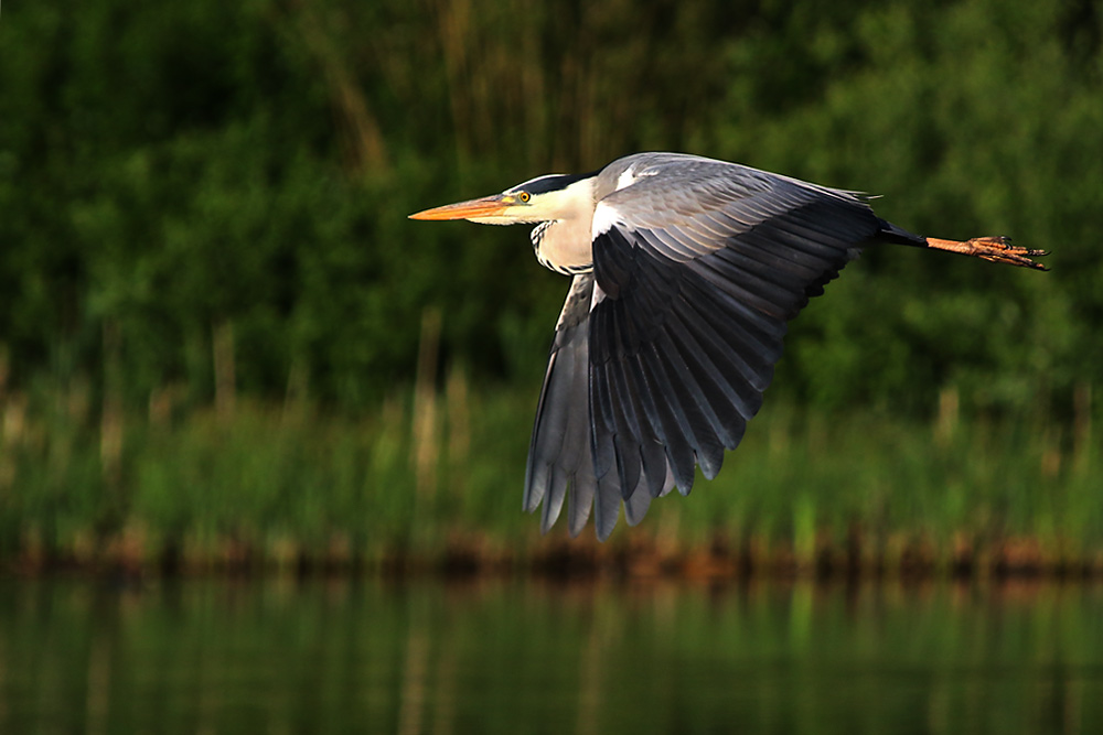 nur fliegen ist schöner :-))