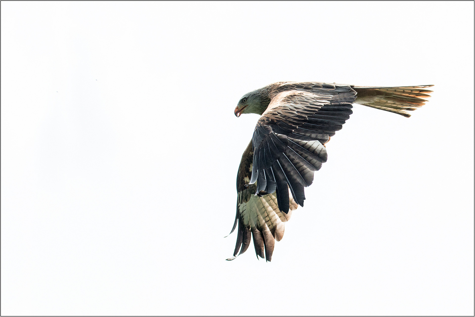 ........nur fliegen ist schöner.