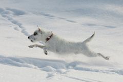 Nur fliegen ist schöner!