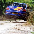 Nur fliegen ist schöner! Kurzer "Abflug" in den Weinbergen! WRC Trier 2006