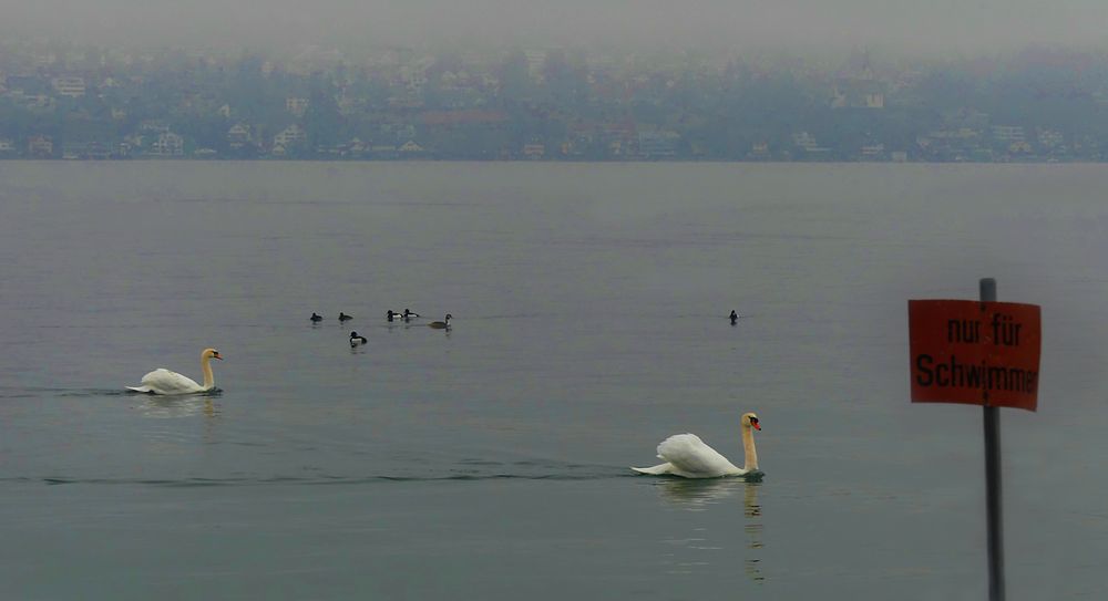 Nur für Schwimmer