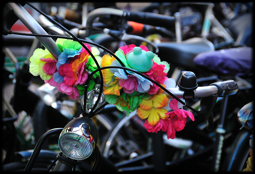 nur Genießer fahren Fahrrad...