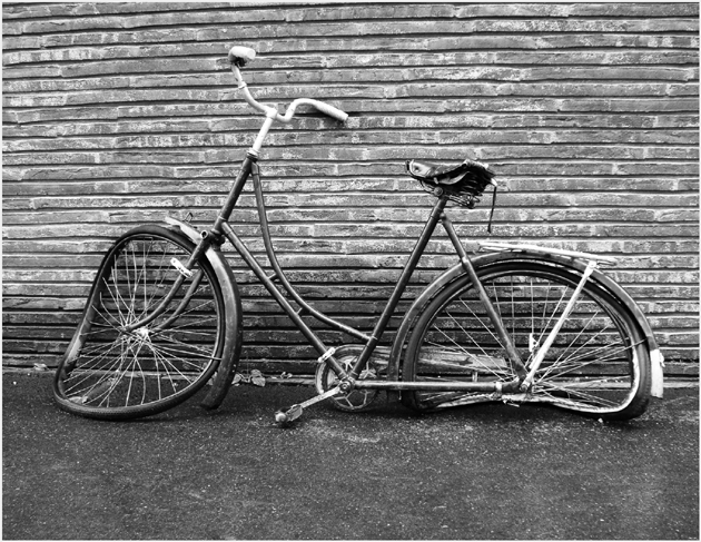 "nur genießer fahren fahrrad... "