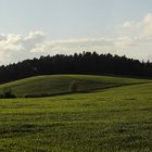 Nur grün und Wolken