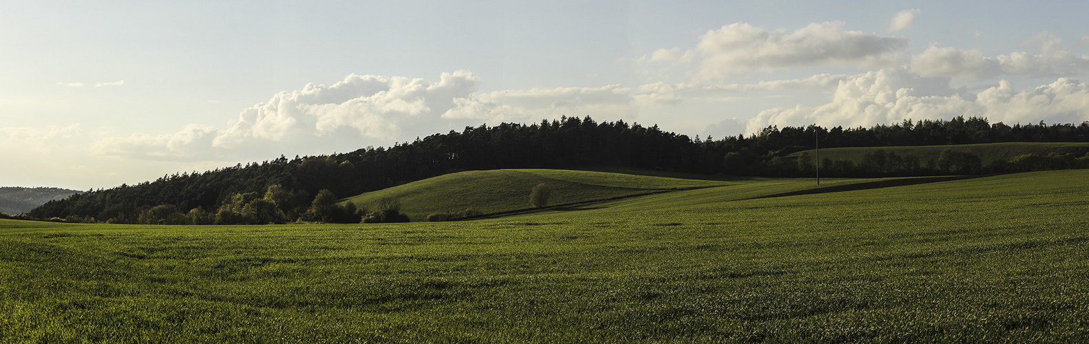 Nur grün und Wolken