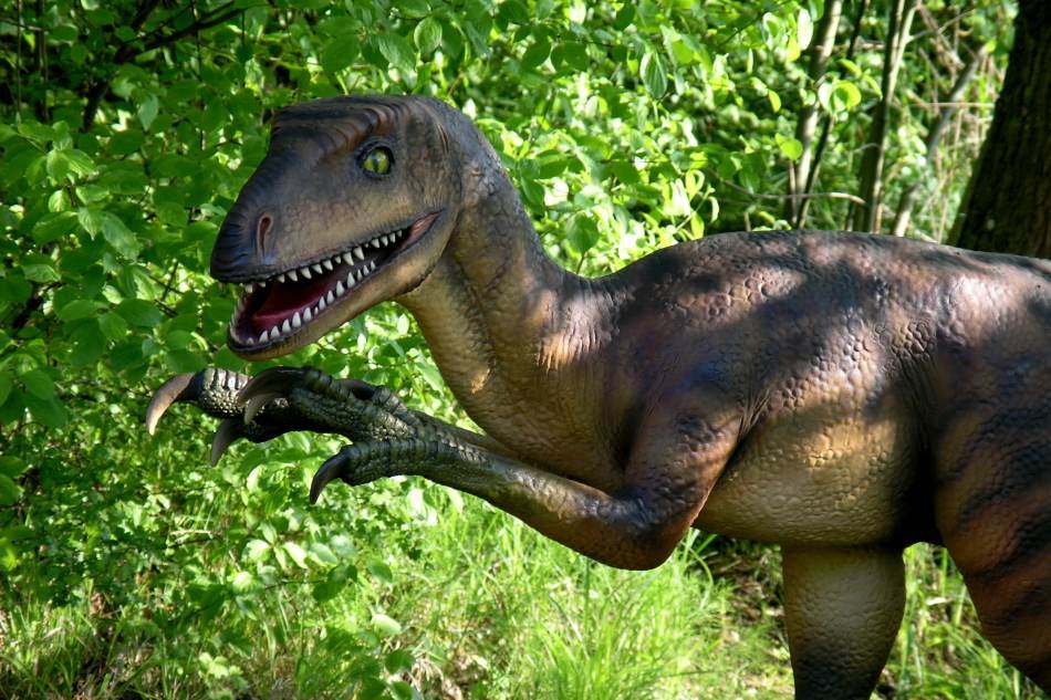 Nur halb so gefährlich! Leider wurde dieser Dino am 20.05. gestohlen.