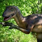 Nur halb so gefährlich! Leider wurde dieser Dino am 20.05. gestohlen.