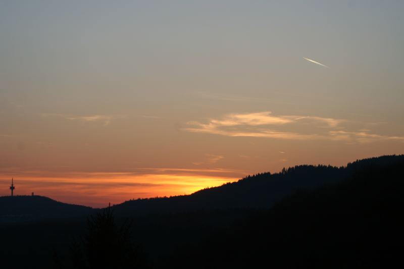 nur kurz einen Blick aus dem Fenster