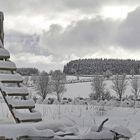 nur kurz zeigte sich der Winter