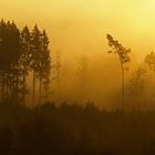 Nur langsam löst sich der Frühnebel auf