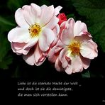 *Nur Liebe*...