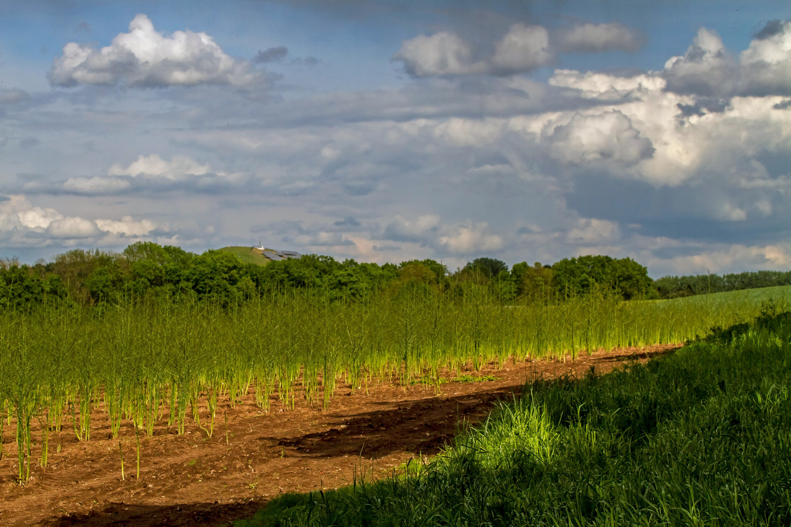 "Nur mal ein simples Landschafts - Bild"