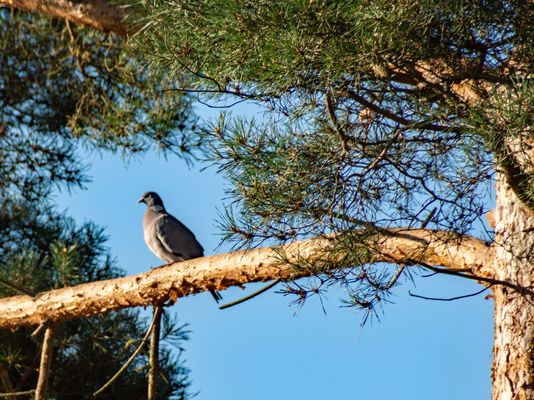 Nur nicht den Überblick verlieren!