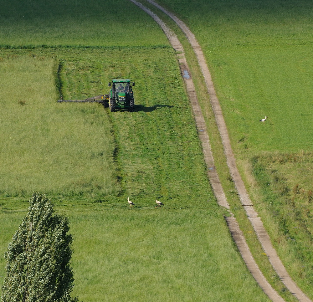 nur noch ein paar Minuten, dann ist angerichtet... ;-)