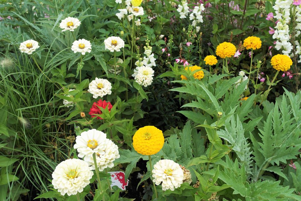 Nur noch Erinnerung   an die Landesgartenschau 2016 Bayreuth