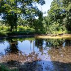 Nur noch gering der Wasserstand im Teich