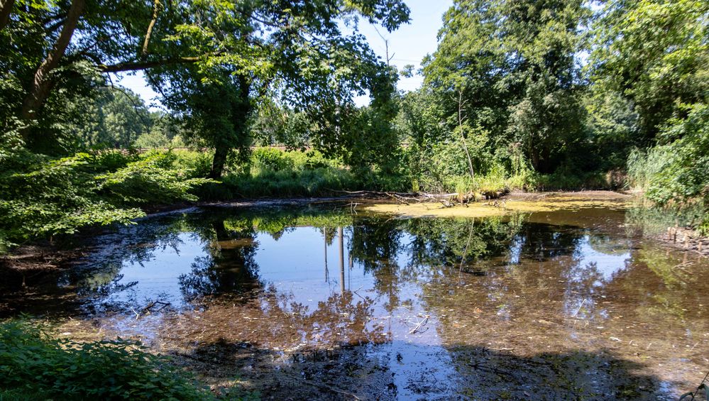 Nur noch gering der Wasserstand im Teich