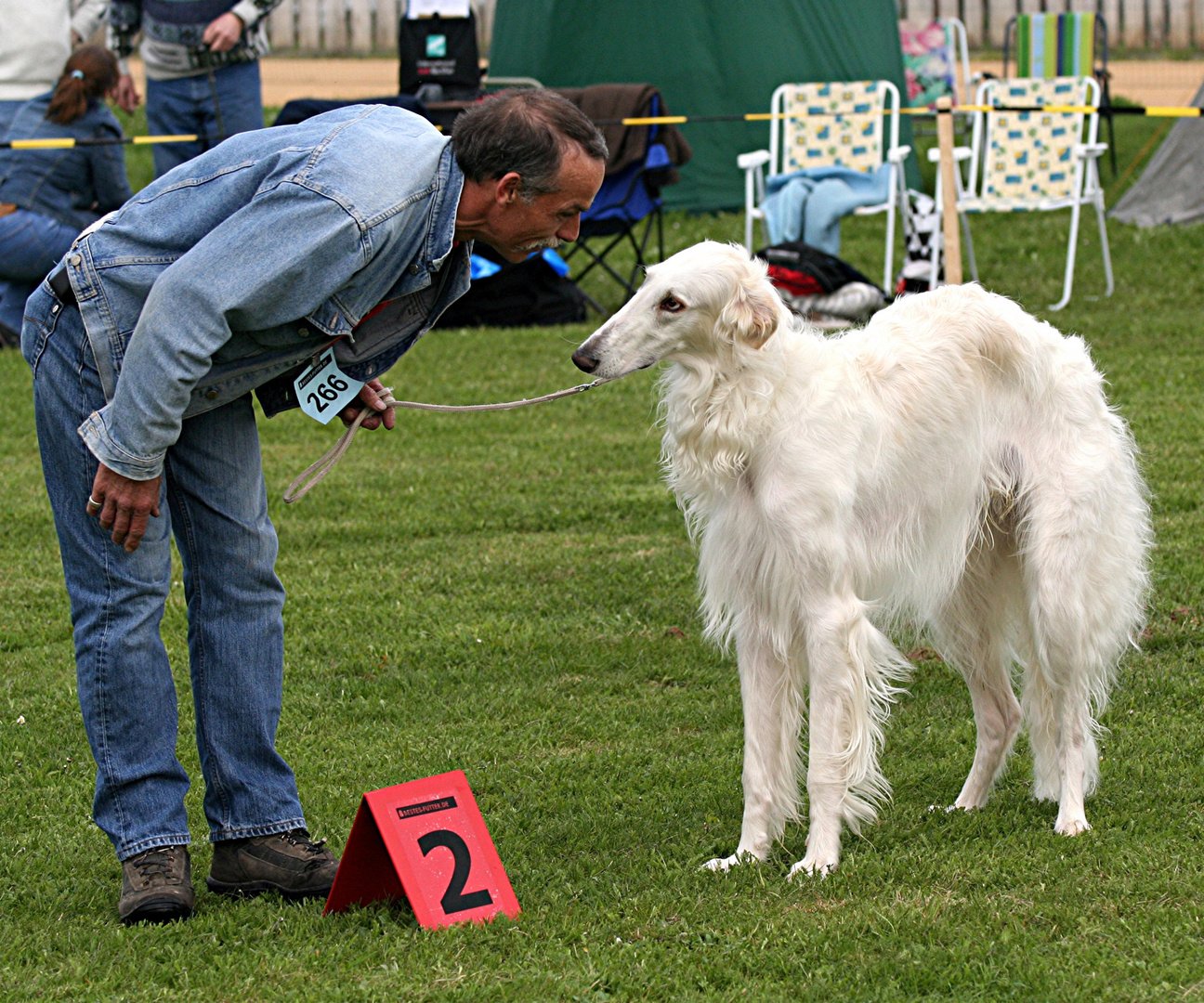 Nur Platz 2 .Du weißt was das heißt ! Eine Woche kein Lassie !!!