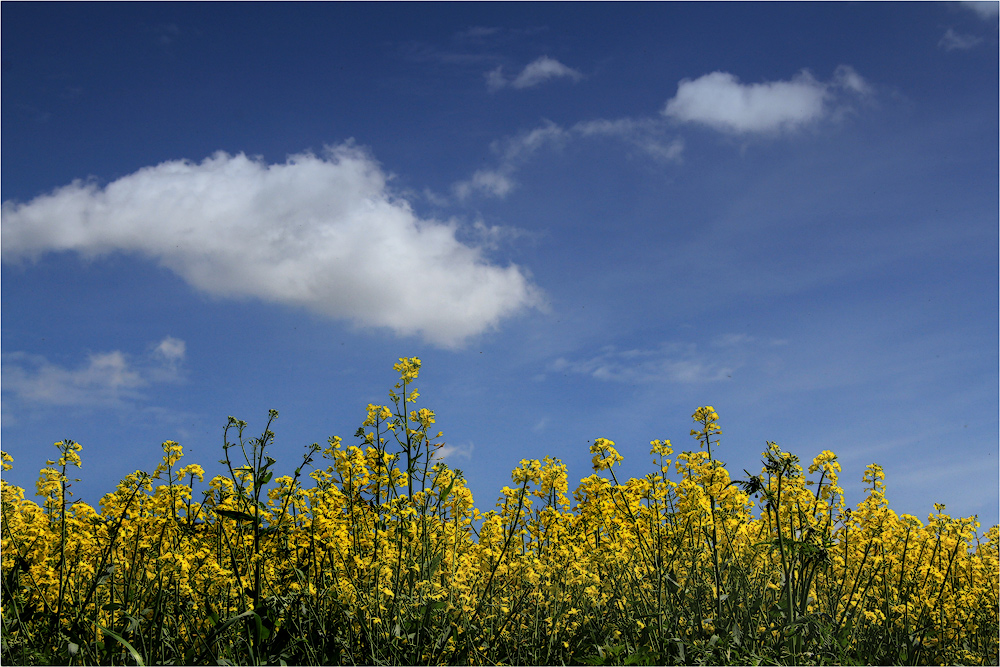 NUR RAPS UND HIMMEL