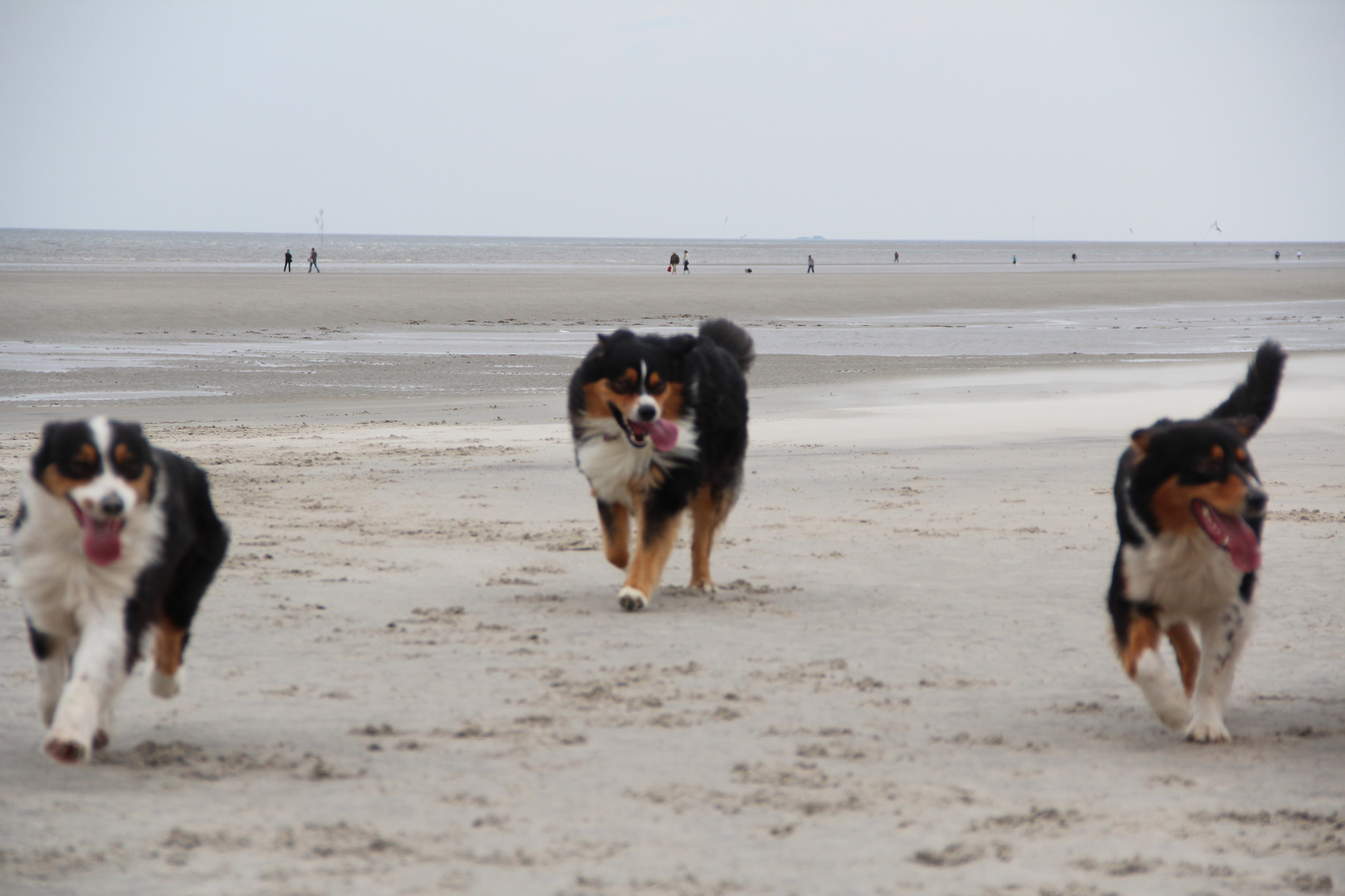 nur schön am strand