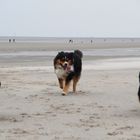 nur schön am strand