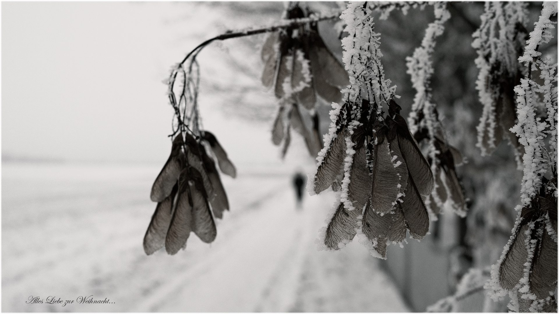 ...nur so..