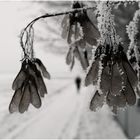 ...nur so..