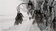 ...nur so..