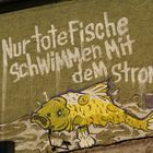 Nur tote Fische schwimmen mit dem Strom