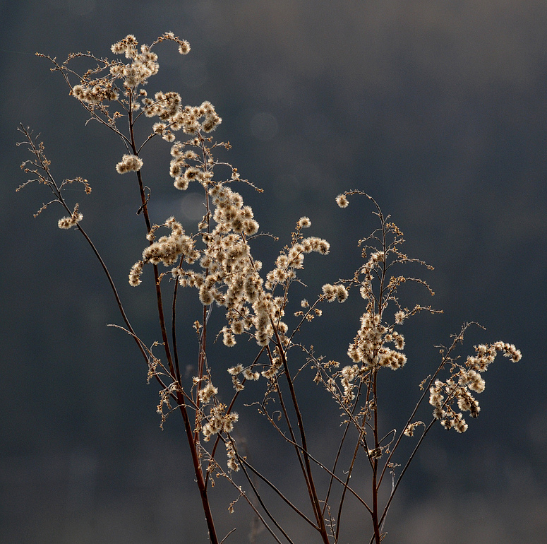 Nur wenig Sonnenlicht