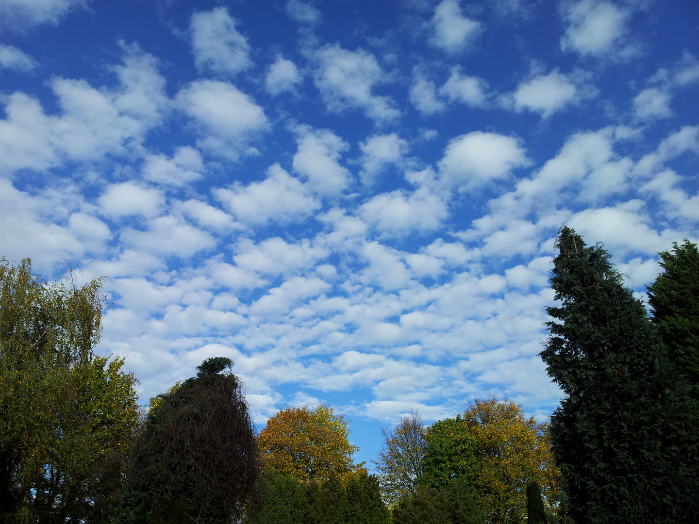 nur Wolken