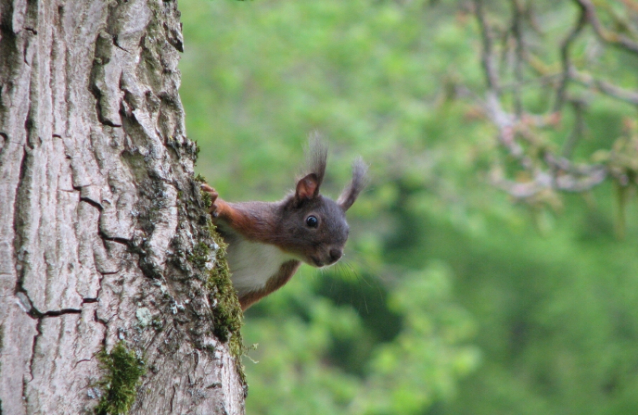 Nur zu Besuch