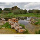 .. Nuraghe arrubiu ..