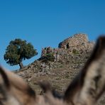 Nuraghe