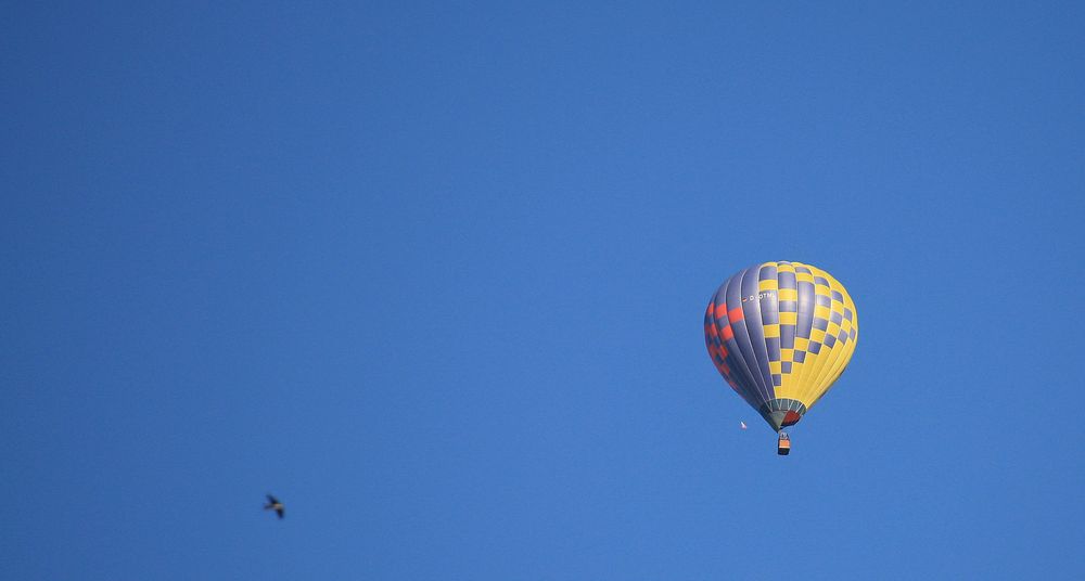 nurfliegen ist schöner