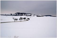 Nursch im Februar 2010