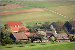 Nursch im Frühling **2