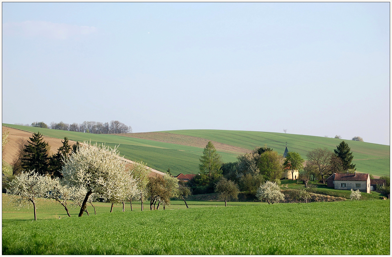 Nursch im Frühling